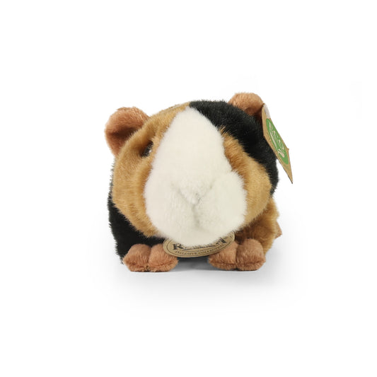 Plush guinea pig 22 cm DISPLAY