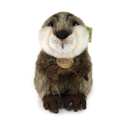 Plush Beaver 25 cm