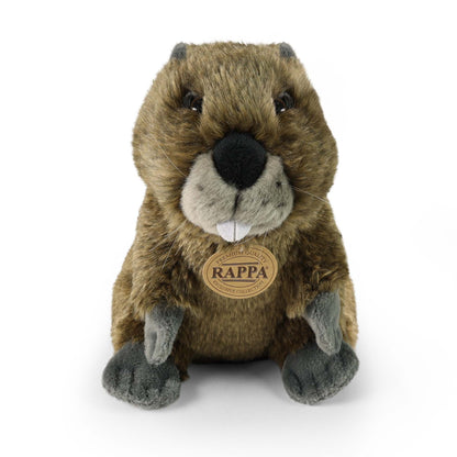 Plush Beaver 22 cm