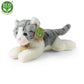 Plush cats assort 18 cm DISPLAY