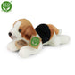 Plush dogs assort DISPLAY