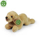 Plush dogs assort DISPLAY