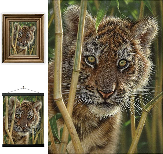 3D LiveLife Pictures - Discovery