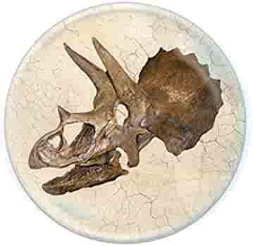 Magnidomes - Triceratops Skull