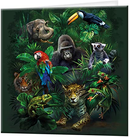 3D LiveLife Greetings Cards - Jungle Pals