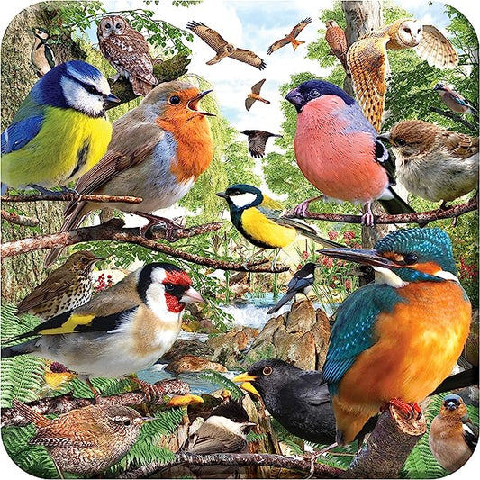 3D LiveLife Coasters - Nature's Home