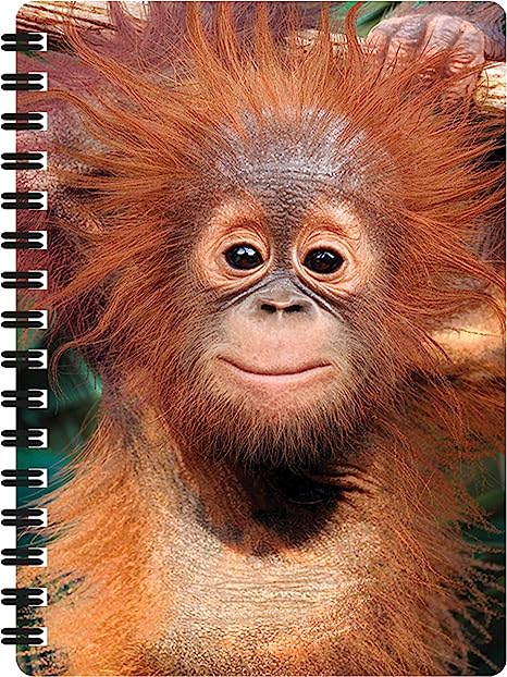 3D LiveLife Jotters - Baby Orangutan