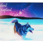 Husky and a shooting star 3D magnet FIN LAP