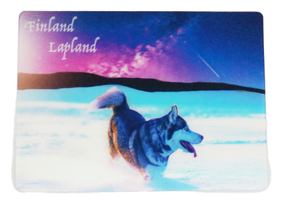 Husky and a shooting star 3D magnet FIN LAP