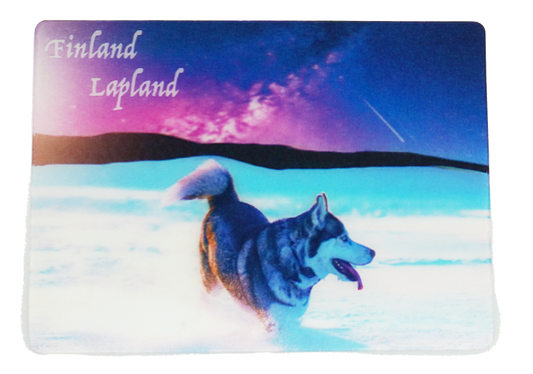 Husky and a shooting star 3D magnet FIN LAP