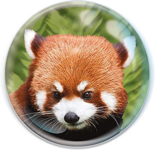 Magnidomes - Red Panda