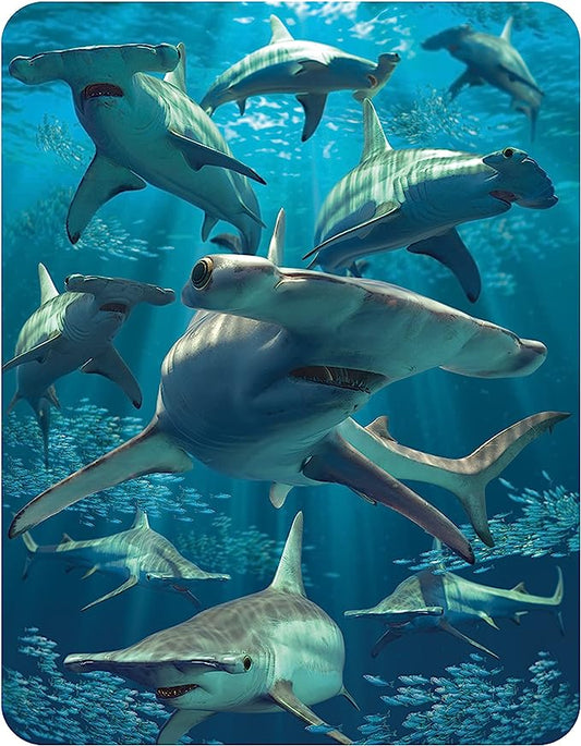 3D LiveLife Magnets - Hammerhead Shark