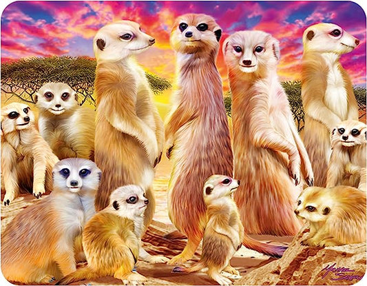 3D LiveLife Magnets - Cool Meerkats