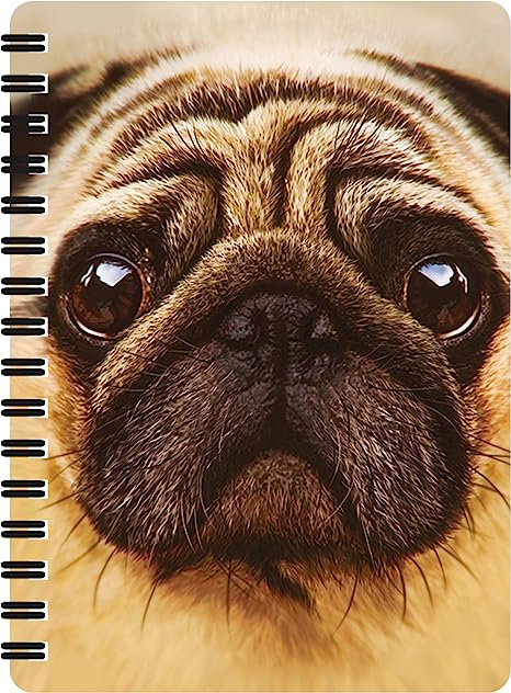 3D LiveLife Jotters - Pug