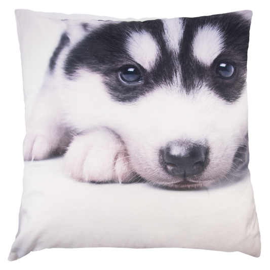 Tyynynpäällinen Husky