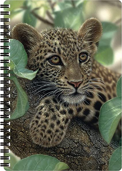 3D LiveLife Notebooks - Tree Hugger