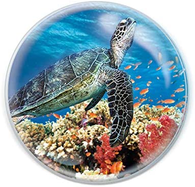 Magnidomes - Sea Turtle