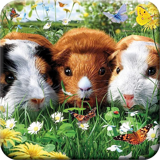 3D LiveLife Coasters - Guinea Pigs
