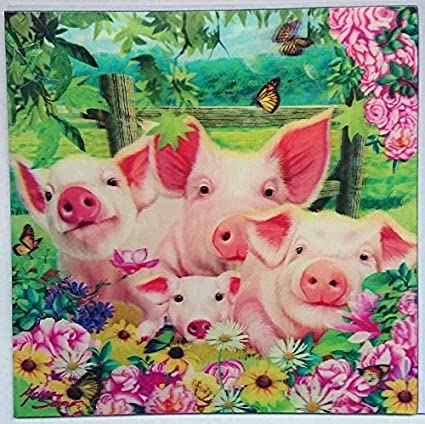 3D LiveLife Greetings Cards - Pig Pen