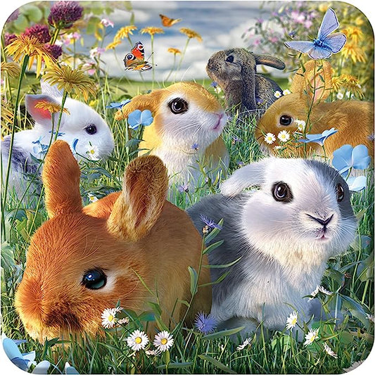 3D LiveLife Coasters - Bunnies
