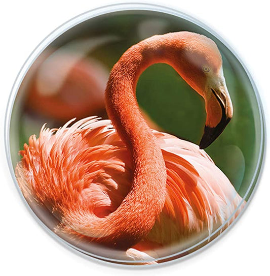 Magnidomes - Flamingo