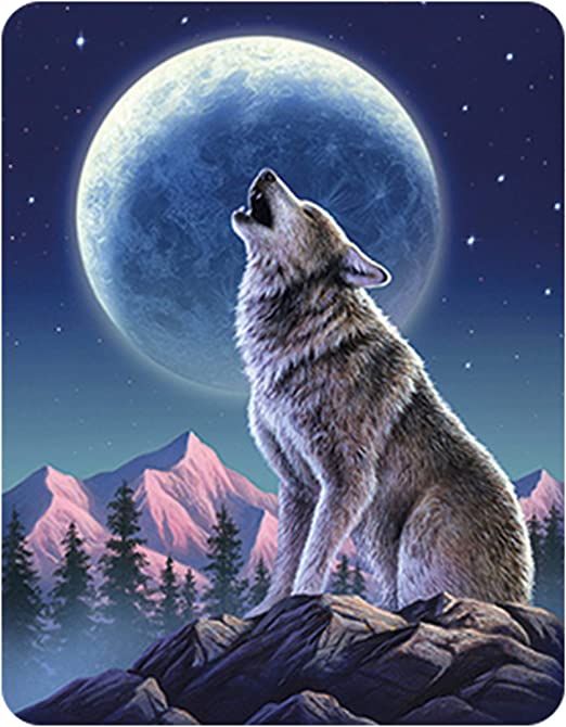 3D LiveLife Magnets - Moonlight Sonata