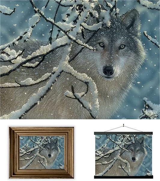 3D LiveLife Pictures - Broken Silence