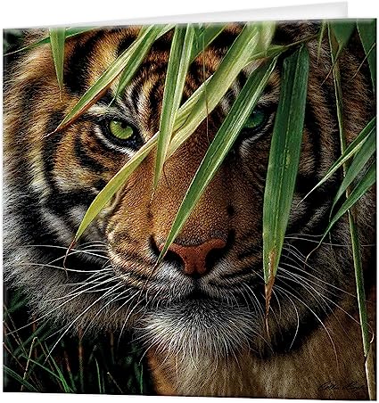 3D LiveLife Greetings Cards - Emerald Forest