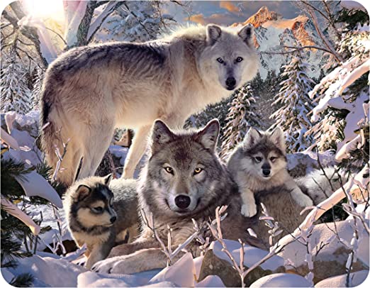 3D LiveLife Magnets - Winter Wolves