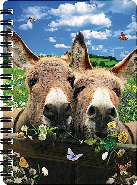 3D LiveLife Jotters - Donkeys