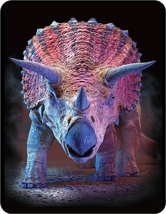 3D LiveLife Magnets - Triceratops