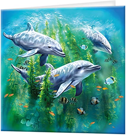 3D LiveLife Greetings Cards - Dolphin Kelp Bed