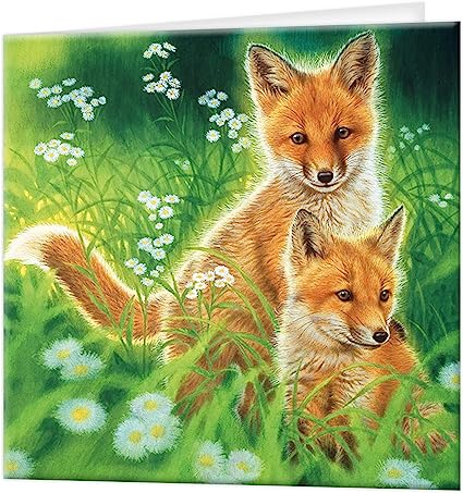3D LiveLife Greetings Cards - Spring Foxes