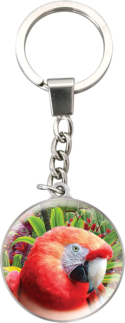 Magnidome Keychains - Parrot