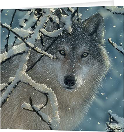 3D LiveLife Greetings Cards - Broken Silence