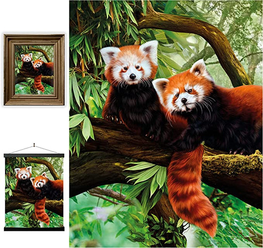 3D LiveLife Pictures - Red Pandas