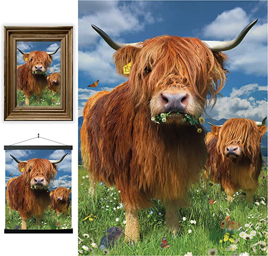 3D LiveLife Pictures - Highland Cattle