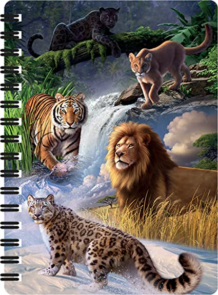 3D LiveLife Jotters - Big Cats Expedition