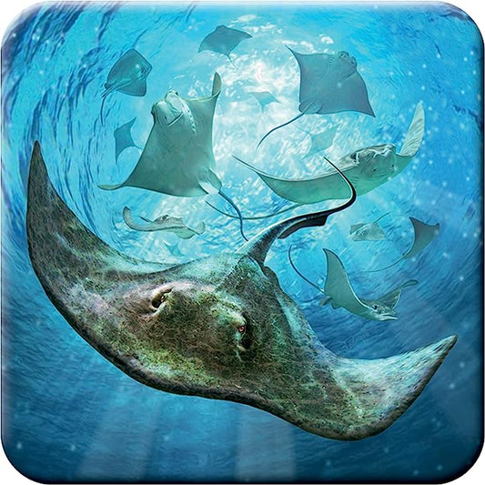 3D LiveLife Coasters - Sting Rays