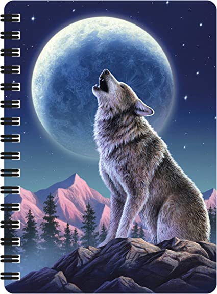 3D LiveLife Jotters - Moonlight Sonata