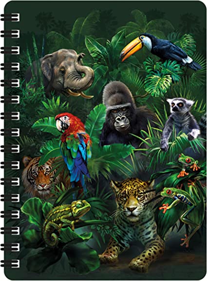 3D LiveLife Jotters - Jungle Pals