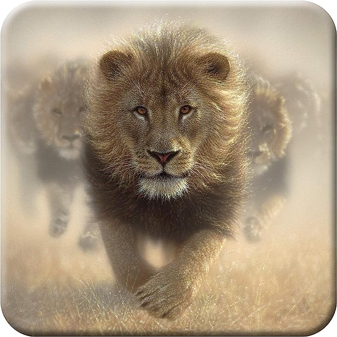 3D LiveLife Coasters - Eat My Dust