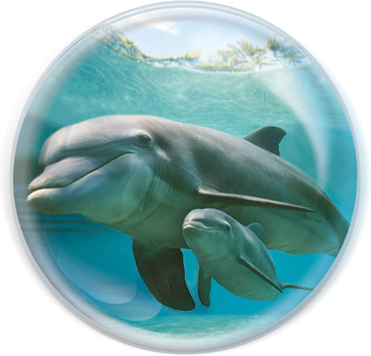 Magnidomes - Dolphin