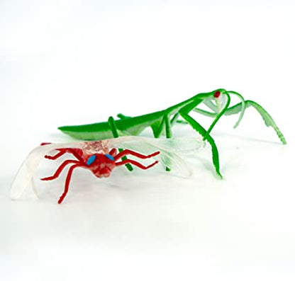 Cubitubes - Insects