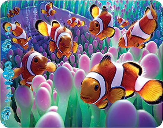 3D LiveLife Magnets - Clown Fish