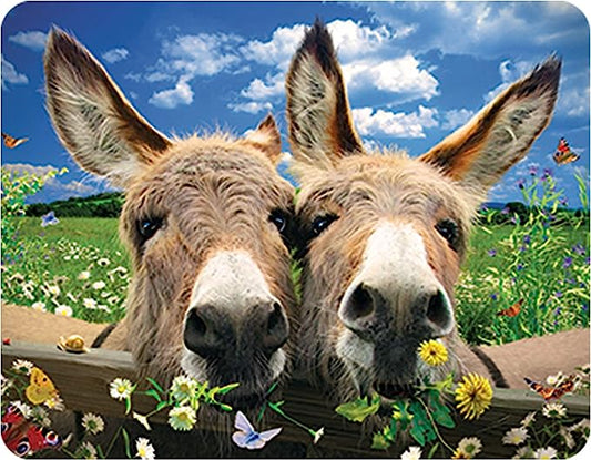 3D LiveLife Magnets - Donkeys