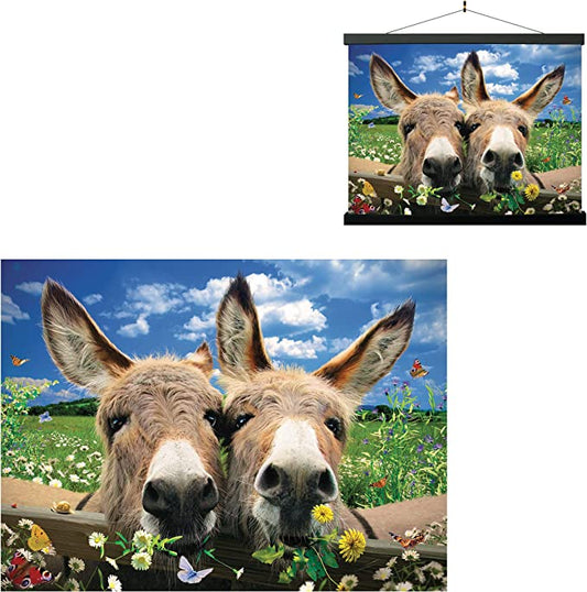 3D LiveLife Pictures - Donkeys