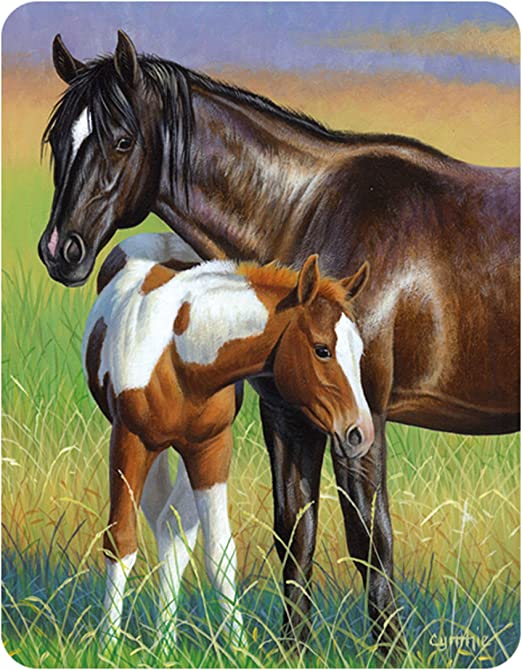 3D LiveLife Magnets - Mare &amp; Foal