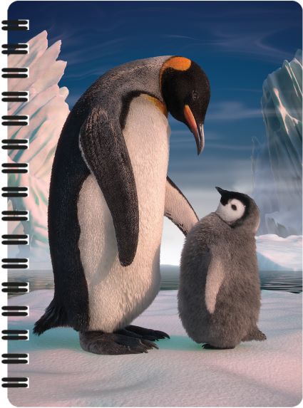 3D LiveLife Jotters - Penguin Son