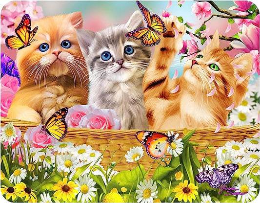 3D LiveLife Magnets - Kitten Fun Time